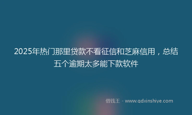2025年热门那里贷款不看征信和芝麻信用，总结五个逾期太多能下款软件