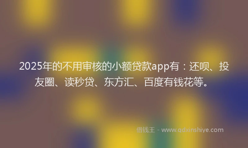 2025年的不用审核的小额贷款app有：还呗、投友圈、读秒贷、东方汇、百度有钱花等。