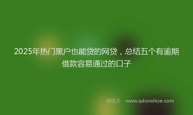 2025年热门黑户也能贷的网贷，总结五个有逾期借款容易通过的口子
