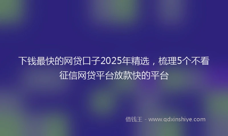 下钱最快的网贷口子2025年精选，梳理5个不看征信网贷平台放款快的平台