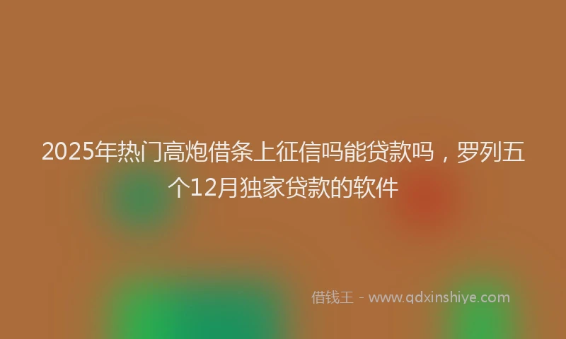 2025年热门高炮借条上征信吗能贷款吗，罗列五个12月独家贷款的软件
