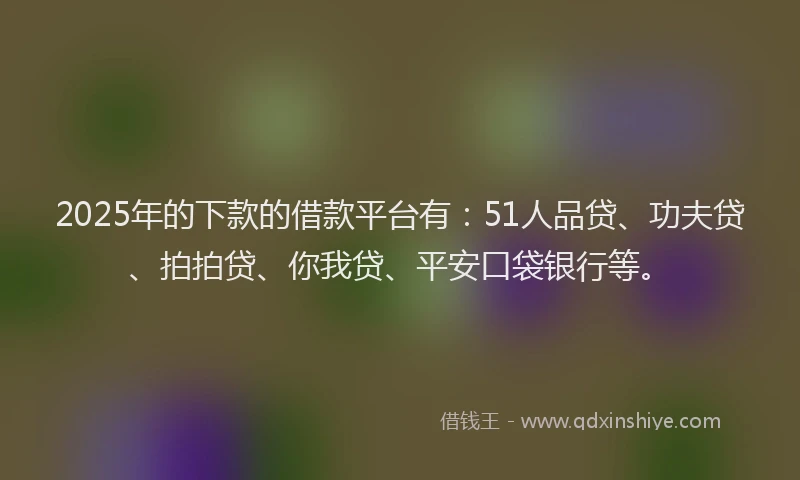 2025年的下款的借款平台有：51人品贷、功夫贷、拍拍贷、你我贷、平安口袋银行等。