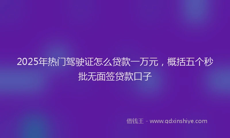 2025年热门驾驶证怎么贷款一万元，概括五个秒批无面签贷款口子