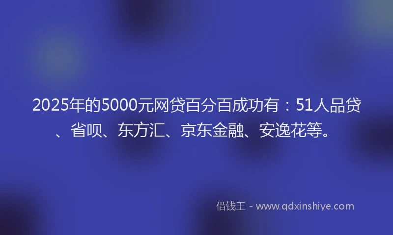 2025年的5000元网贷百分百成功有：51人品贷、省呗、东方汇、京东金融、安逸花等。