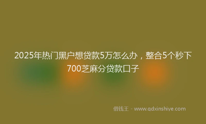 2025年热门黑户想贷款5万怎么办，整合5个秒下700芝麻分贷款口子