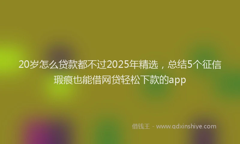 20岁怎么贷款都不过2025年精选，总结5个征信瑕疵也能借网贷轻松下款的app