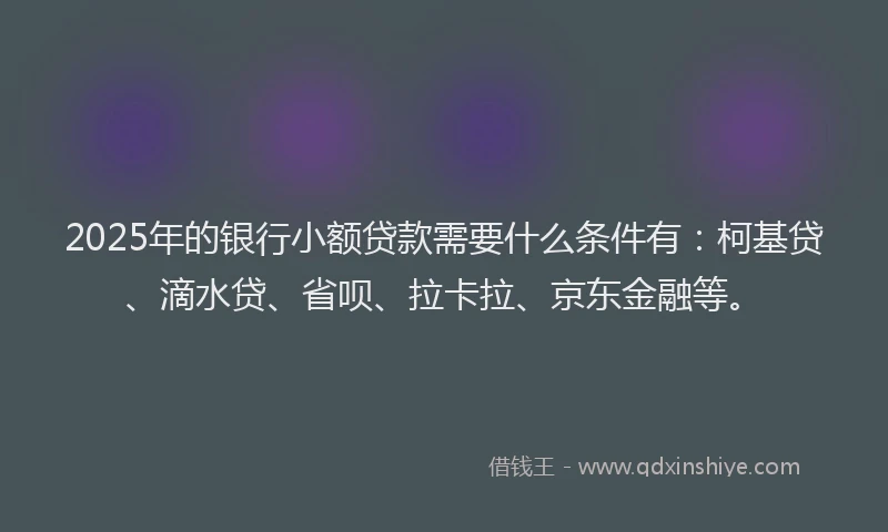 2025年的银行小额贷款需要什么条件有：柯基贷、滴水贷、省呗、拉卡拉、京东金融等。