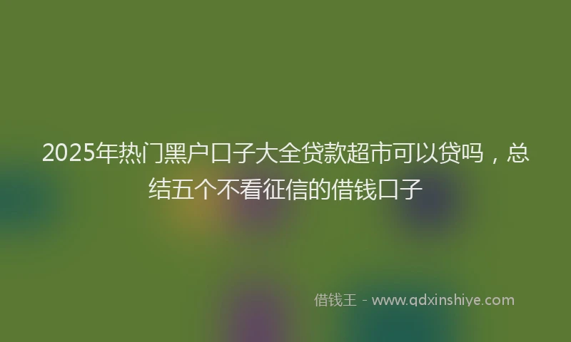 2025年热门黑户口子大全贷款超市可以贷吗，总结五个不看征信的借钱口子