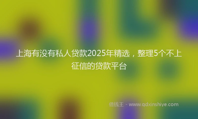上海有没有私人贷款2025年精选，整理5个不上征信的贷款平台