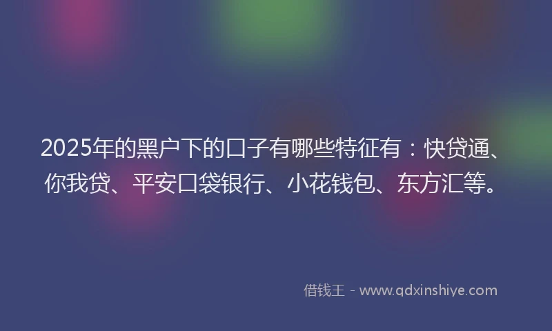 2025年的黑户下的口子有哪些特征有：快贷通、你我贷、平安口袋银行、小花钱包、东方汇等。