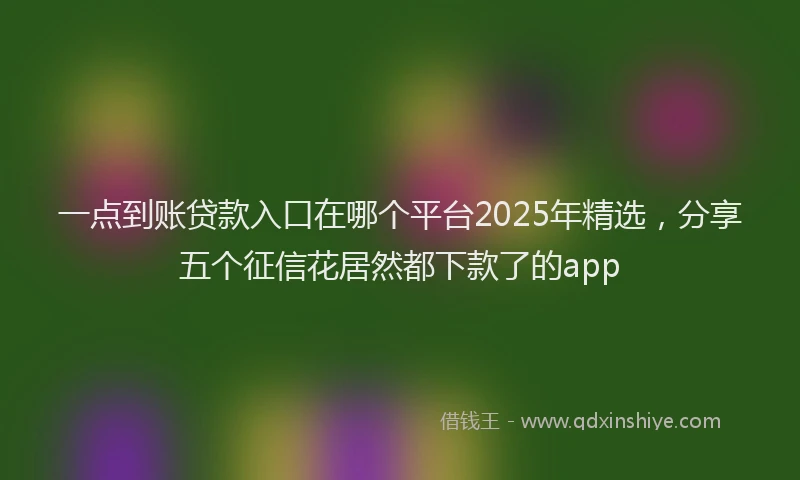 一点到账贷款入口在哪个平台2025年精选，分享五个征信花居然都下款了的app