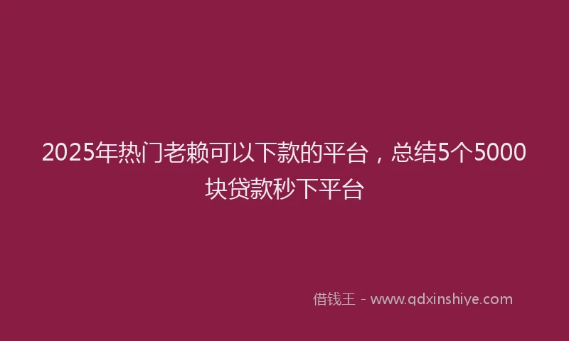 2025年热门老赖可以下款的平台，总结5个5000块贷款秒下平台