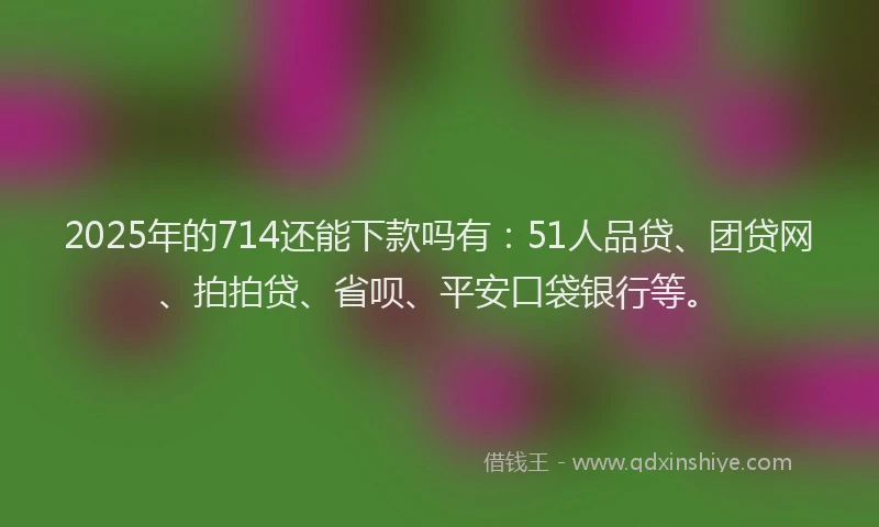 2025年的714还能下款吗有：51人品贷、团贷网、拍拍贷、省呗、平安口袋银行等。