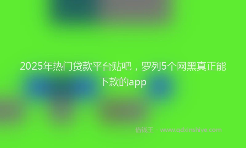2025年热门贷款平台贴吧，罗列5个网黑真正能下款的app