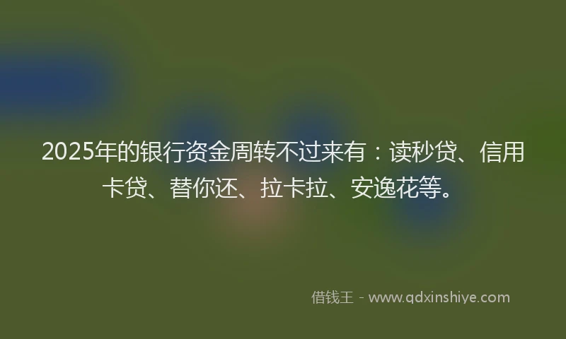 2025年的银行资金周转不过来有：读秒贷、信用卡贷、替你还、拉卡拉、安逸花等。