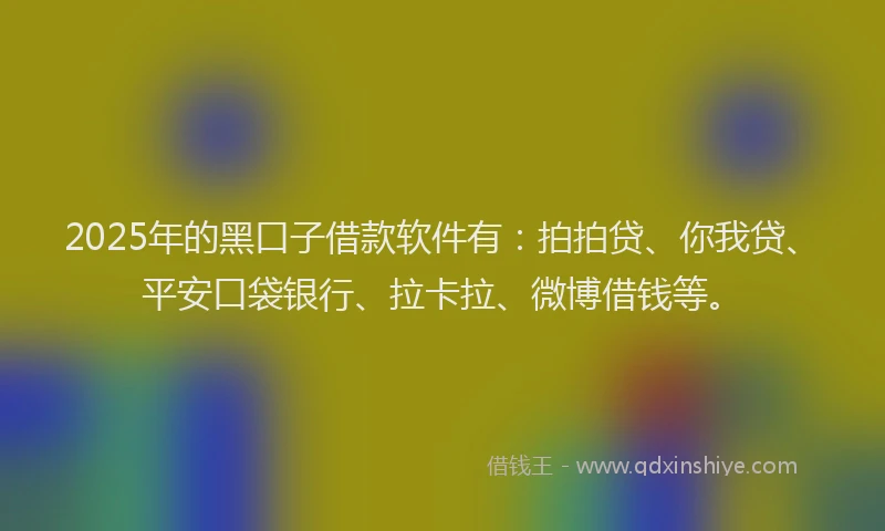 2025年的黑口子借款软件有：拍拍贷、你我贷、平安口袋银行、拉卡拉、微博借钱等。