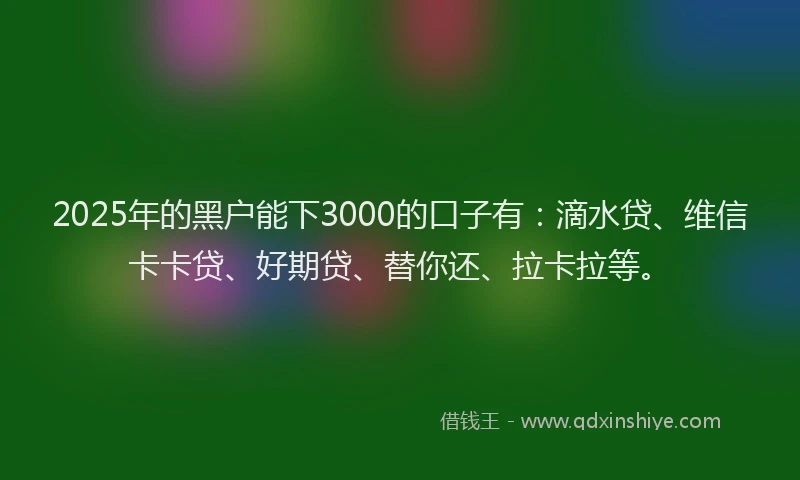 2025年的黑户能下3000的口子有：滴水贷、维信卡卡贷、好期贷、替你还、拉卡拉等。