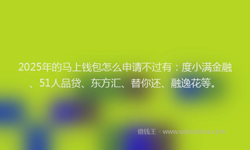 2025年的马上钱包怎么申请不过有：度小满金融、51人品贷、东方汇、替你还、融逸花等。
