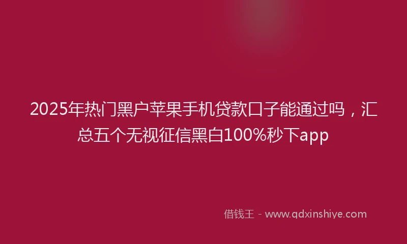 2025年热门黑户苹果手机贷款口子能通过吗，汇总五个无视征信黑白100%秒下app