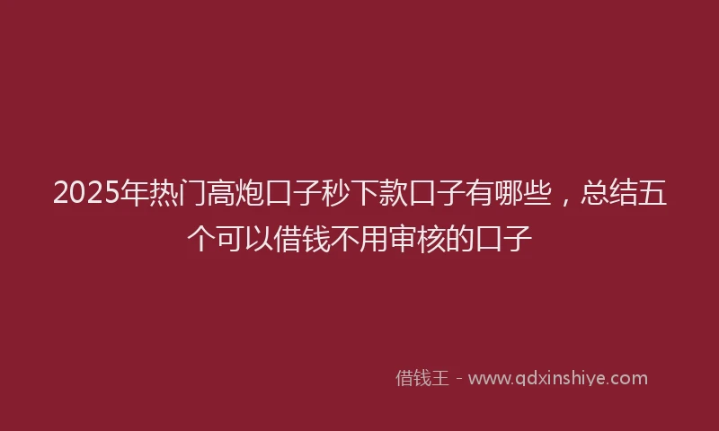 2025年热门高炮口子秒下款口子有哪些，总结五个可以借钱不用审核的口子