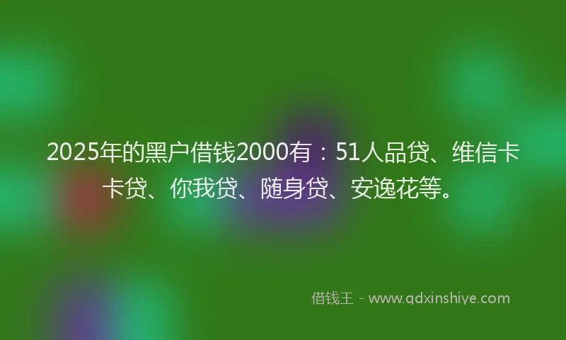 2025年的黑户借钱2000有：51人品贷、维信卡卡贷、你我贷、随身贷、安逸花等。
