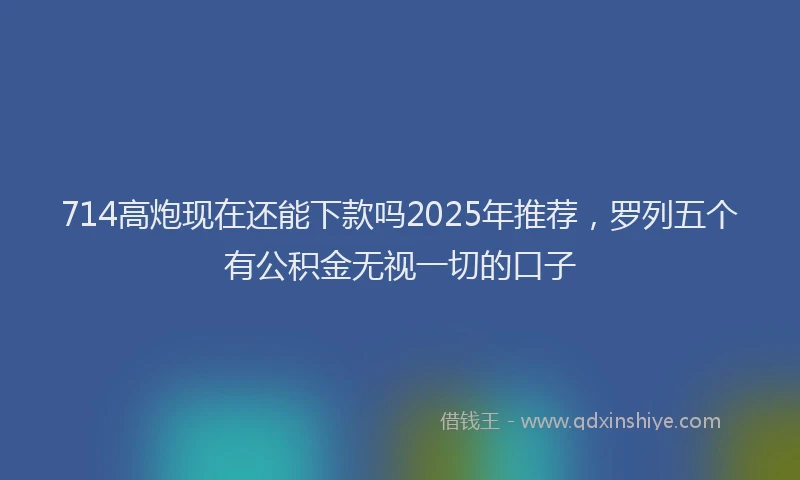 714高炮现在还能下款吗2025年推荐，罗列五个有公积金无视一切的口子