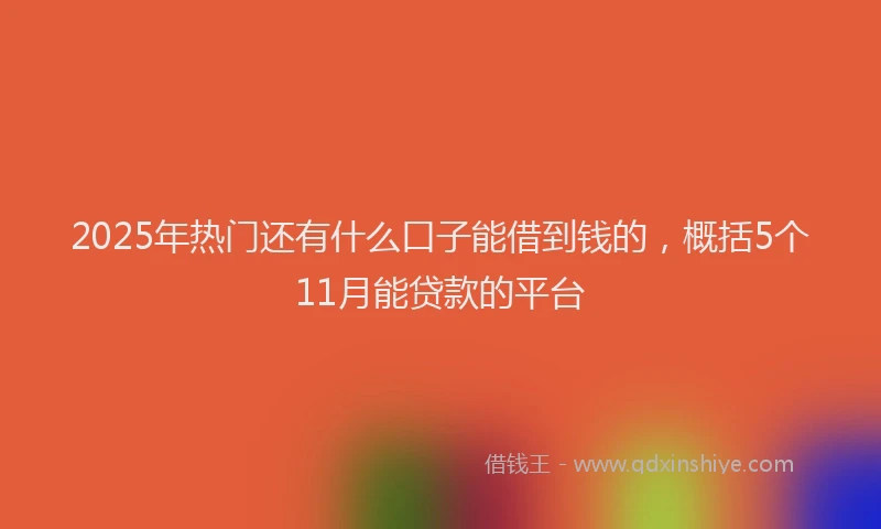 2025年热门还有什么口子能借到钱的，概括5个11月能贷款的平台