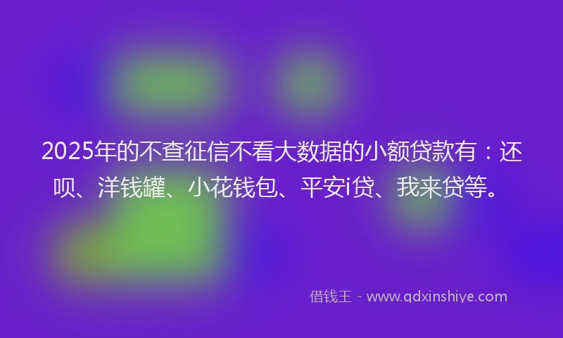 2025年的不查征信不看大数据的小额贷款有：还呗、洋钱罐、小花钱包、平安i贷、我来贷等。