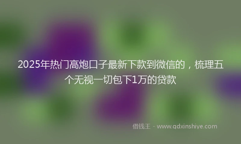 2025年热门高炮口子最新下款到微信的，梳理五个无视一切包下1万的贷款