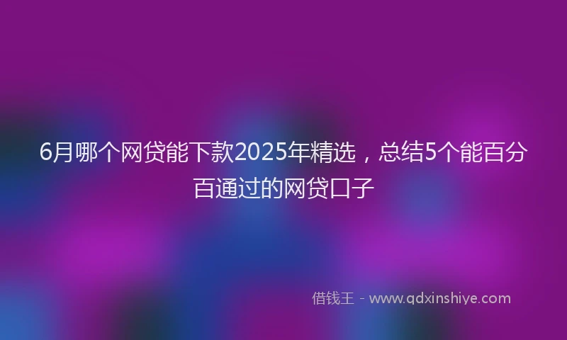 6月哪个网贷能下款2025年精选，总结5个能百分百通过的网贷口子