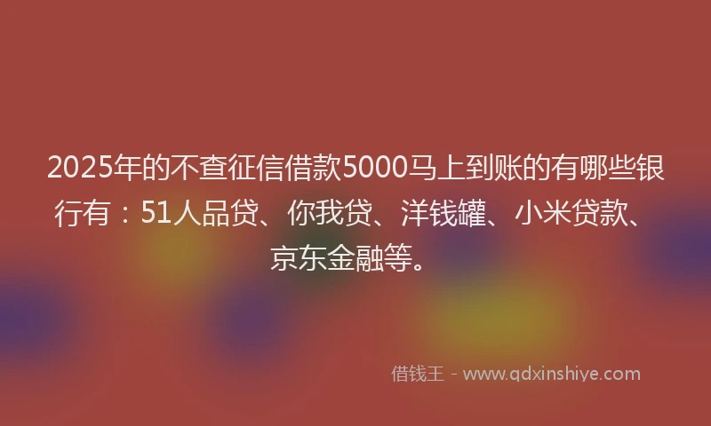 2025年的不查征信借款5000马上到账的有哪些银行有：51人品贷、你我贷、洋钱罐、小米贷款、京东金融等。