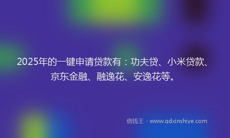 2025年的一键申请贷款有：功夫贷、小米贷款、京东金融、融逸花、安逸花等。