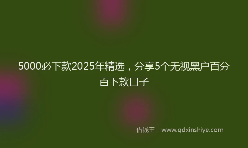 5000必下款2025年精选，分享5个无视黑户百分百下款口子