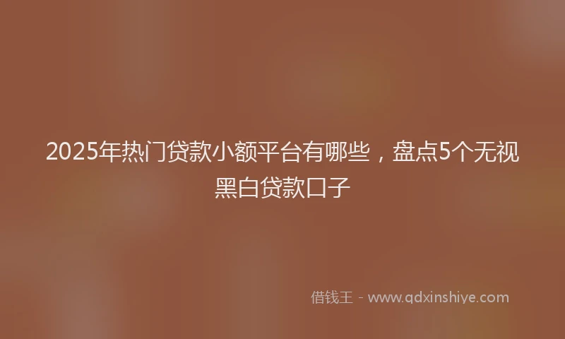 2025年热门贷款小额平台有哪些，盘点5个无视黑白贷款口子