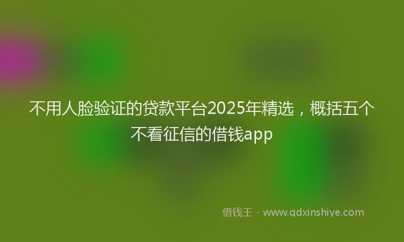 不用人脸验证的贷款平台2025年精选，概括五个不看征信的借钱app