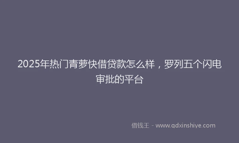 2025年热门青萝快借贷款怎么样，罗列五个闪电审批的平台