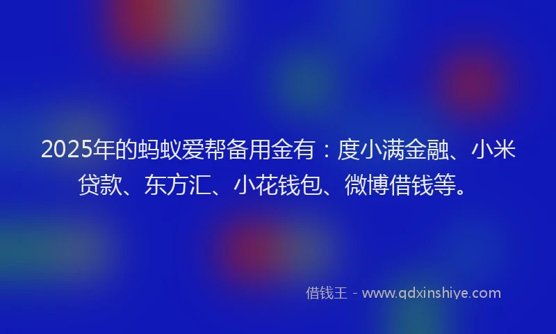2025年的蚂蚁爱帮备用金有：度小满金融、小米贷款、东方汇、小花钱包、微博借钱等。