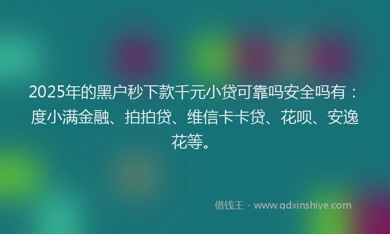 2025年的黑户秒下款千元小贷可靠吗安全吗有：度小满金融、拍拍贷、维信卡卡贷、花呗、安逸花等。