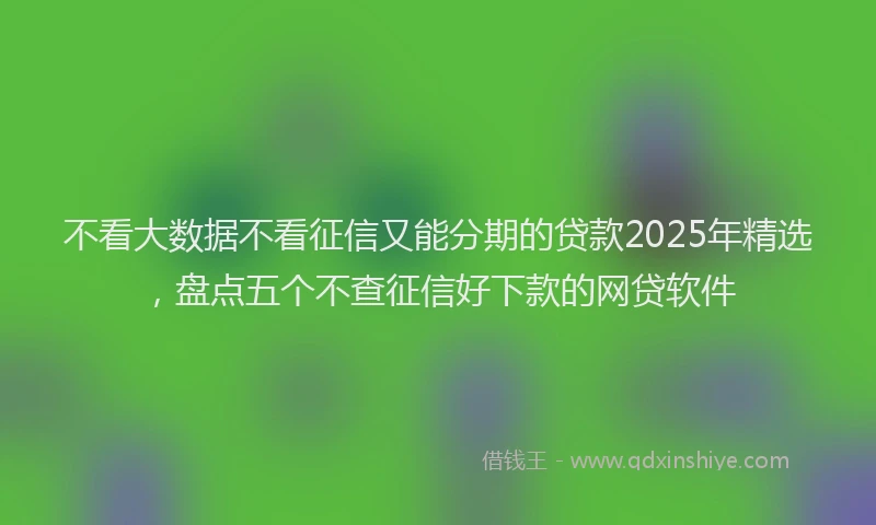 不看大数据不看征信又能分期的贷款2025年精选，盘点五个不查征信好下款的网贷软件