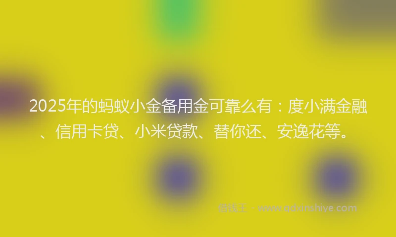 2025年的蚂蚁小金备用金可靠么有：度小满金融、信用卡贷、小米贷款、替你还、安逸花等。