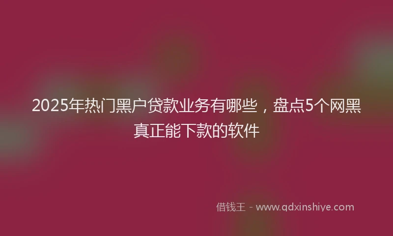 2025年热门黑户贷款业务有哪些，盘点5个网黑真正能下款的软件