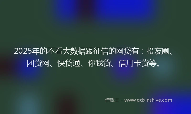 2025年的不看大数据跟征信的网贷有：投友圈、团贷网、快贷通、你我贷、信用卡贷等。