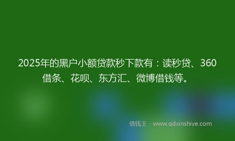 2025年的黑户小额贷款秒下款有：读秒贷、360借条、花呗、东方汇、微博借钱等。