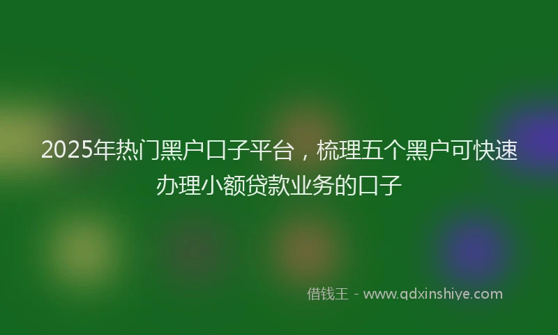 2025年热门黑户口子平台，梳理五个黑户可快速办理小额贷款业务的口子
