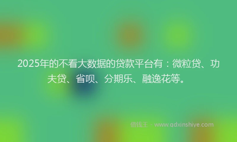 2025年的不看大数据的贷款平台有：微粒贷、功夫贷、省呗、分期乐、融逸花等。