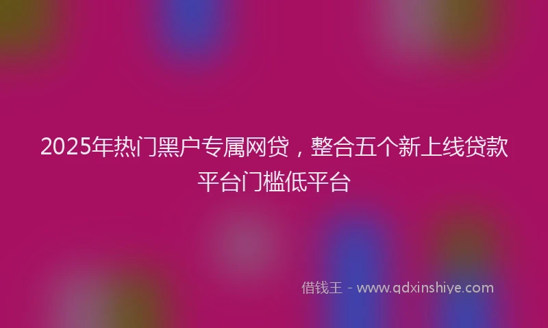 2025年热门黑户专属网贷，整合五个新上线贷款平台门槛低平台