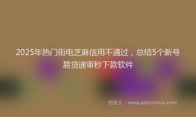 2025年热门街电芝麻信用不通过，总结5个新号易贷速审秒下款软件