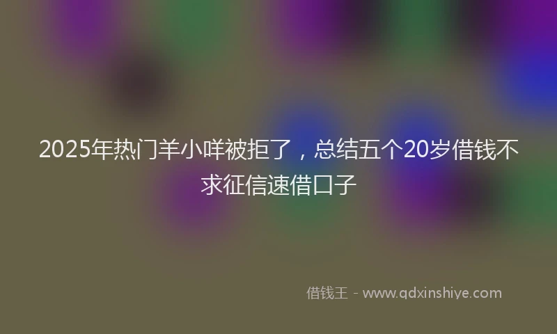 2025年热门羊小咩被拒了，总结五个20岁借钱不求征信速借口子