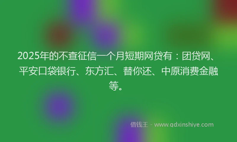 2025年的不查征信一个月短期网贷有：团贷网、平安口袋银行、东方汇、替你还、中原消费金融等。