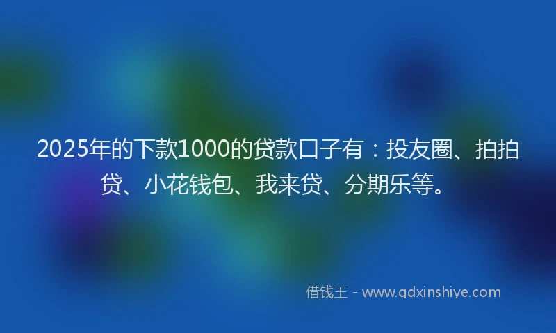 2025年的下款1000的贷款口子有：投友圈、拍拍贷、小花钱包、我来贷、分期乐等。